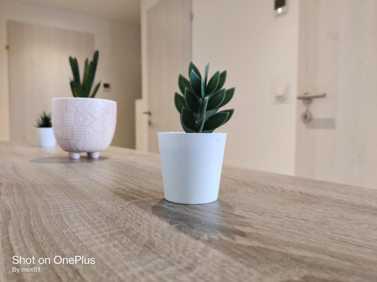 Ferienwohnung Grete, An Der Weinstrasse เอห์เรนเฮาเซน ภายนอก รูปภาพ