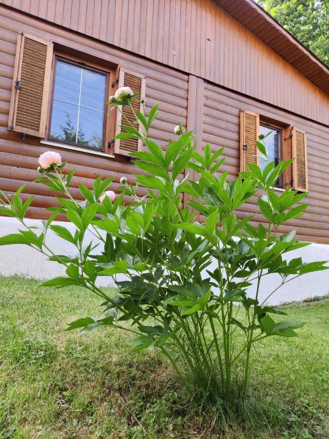 Ferienwohnung Grete, An Der Weinstrasse เอห์เรนเฮาเซน ภายนอก รูปภาพ